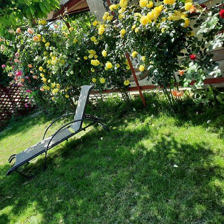 Casa De Vacanta Alexoiu Două Mai Exterior foto