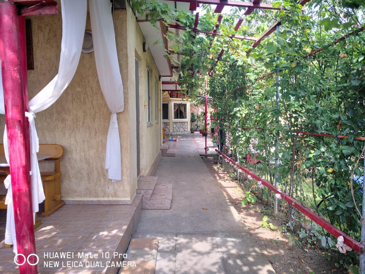 Casa De Vacanta Alexoiu Două Mai Exterior foto