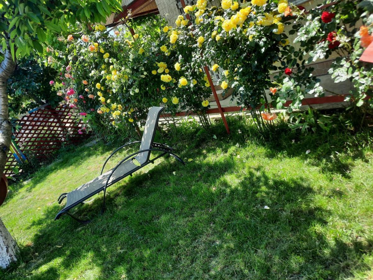 Casa De Vacanta Alexoiu Două Mai Exterior foto